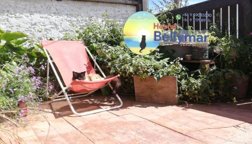 بتشيلمو Hostal Bellymar المظهر الخارجي الصورة